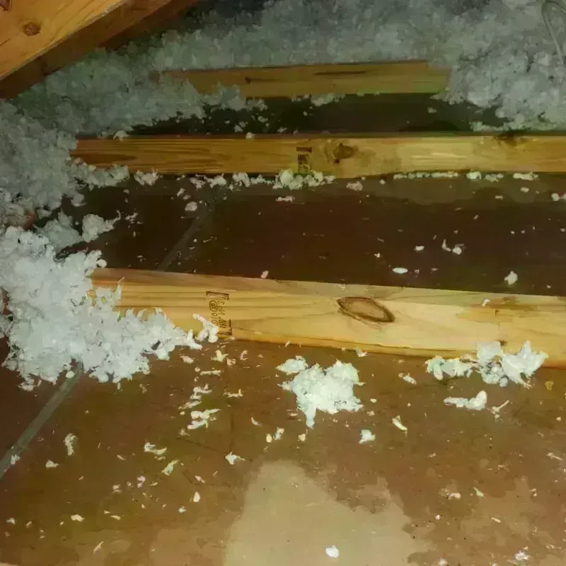 Attic Water Damage in Flathead County, MT