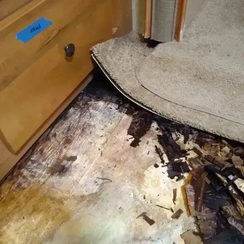 Best Wood Floor Water Damage Service in Flathead County, MT